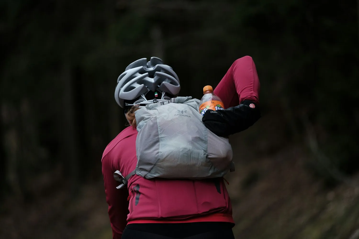 Apidura - Packable Backpack (13L)
