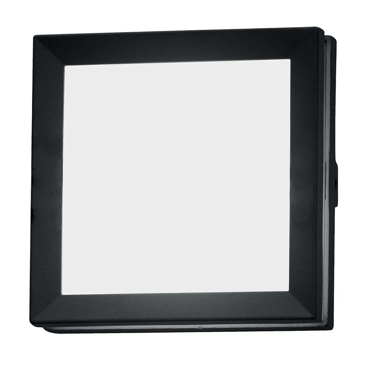 Egil 1 Light Wall/Ceiling Lantern  | Graphite