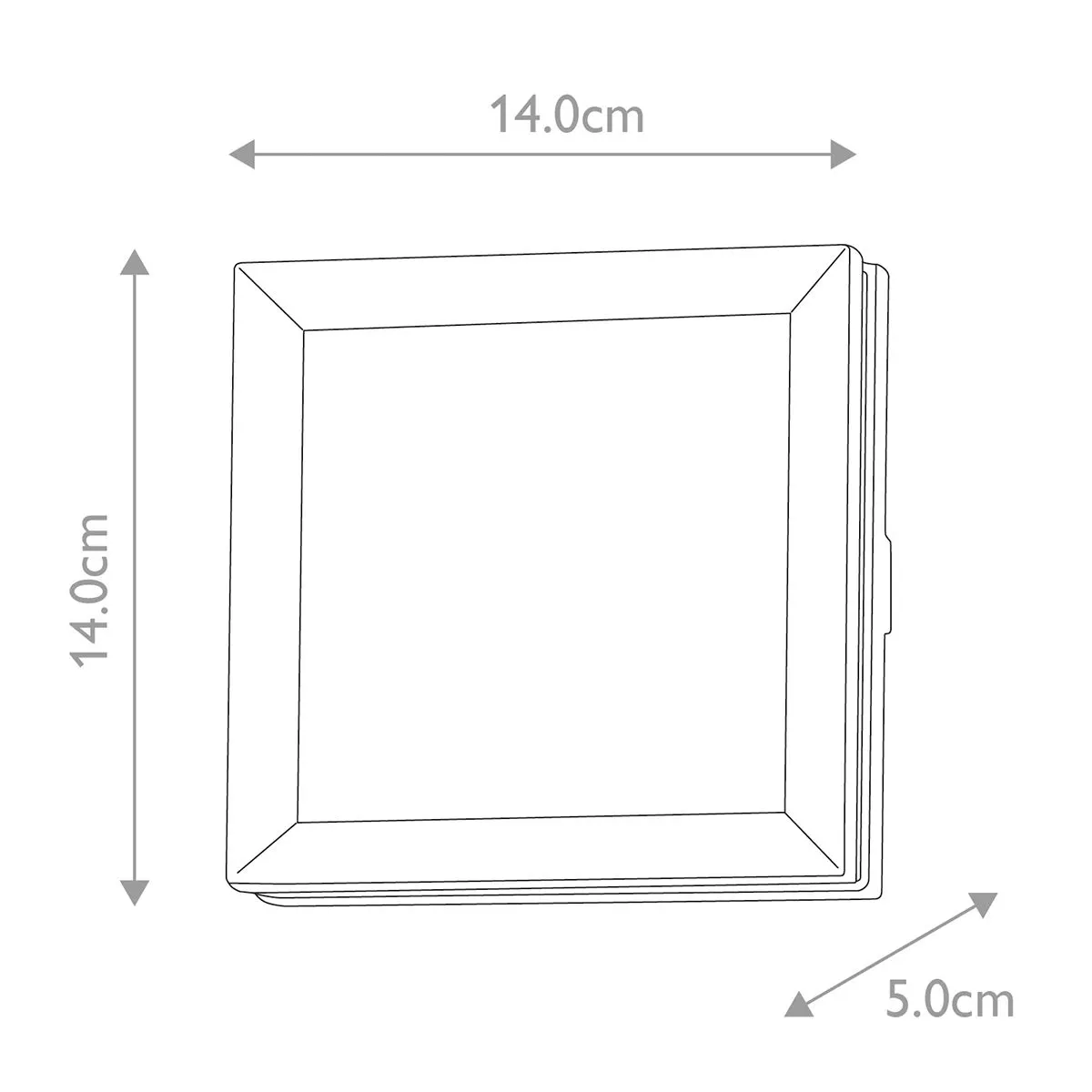 Egil 1 Light Wall/Ceiling Lantern  | Graphite