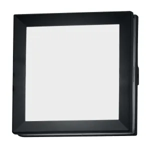Egil 1 Light Wall/Ceiling Lantern  | Graphite