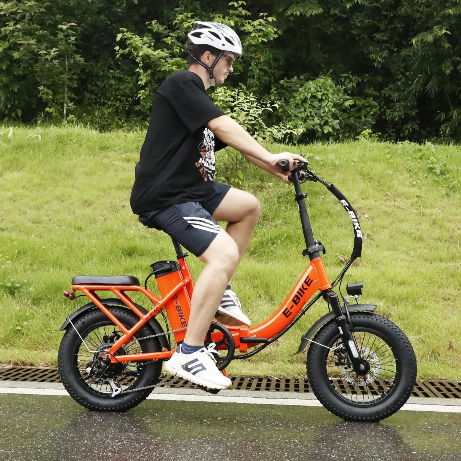 Electric Bike for Adults, 750W Long Range Foldable Ebike with One/Dual Removable Battery, 40-120 Mile/25-30MPH, 20"/16“ Fat Tire Electric Bicycle
