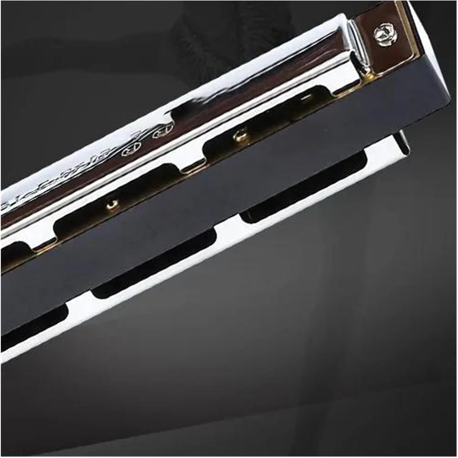 Harmonica C key 28 accent beginner professional performance grade harmonica instrument(Gold)