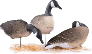 Heerweiyi Goose Decoys Pack of 6, Popular New Material EVA Collapsible Plastic Goose Hunting Decoys, Goose Decoys, Easy to Carry and Use, Cost Effective.
