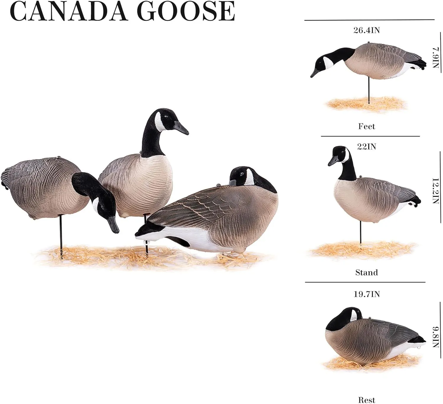 Heerweiyi Goose Decoys Pack of 6, Popular New Material EVA Collapsible Plastic Goose Hunting Decoys, Goose Decoys, Easy to Carry and Use, Cost Effective.