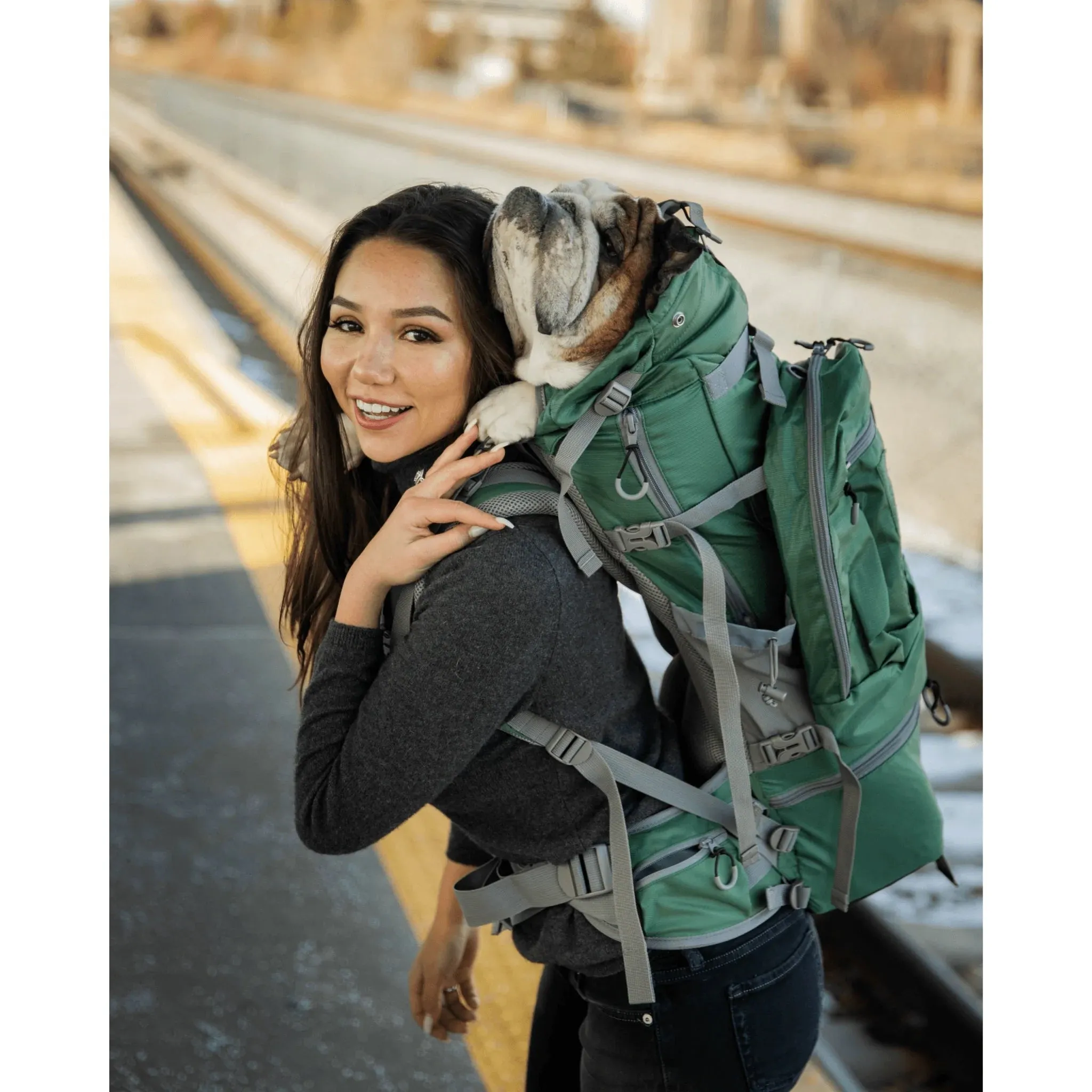 Kolossus | Big Dog Carrier & Backpacking Pack