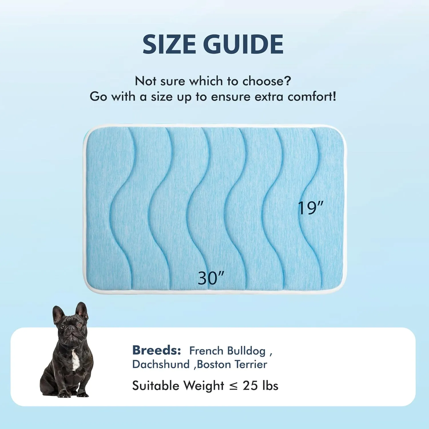 MICROCOSMOS 0.8" Thick Cooling Dog Foam Pad & Summer Pet Sleeping Mat, Machine Washable, Materials Safe, Portable Flat Pet Bed for Dogs.(Sky Blue, 30" x 19")