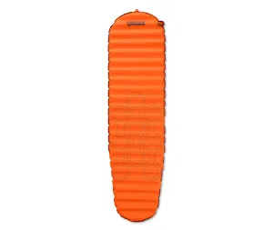 Nemo Flyer Regular