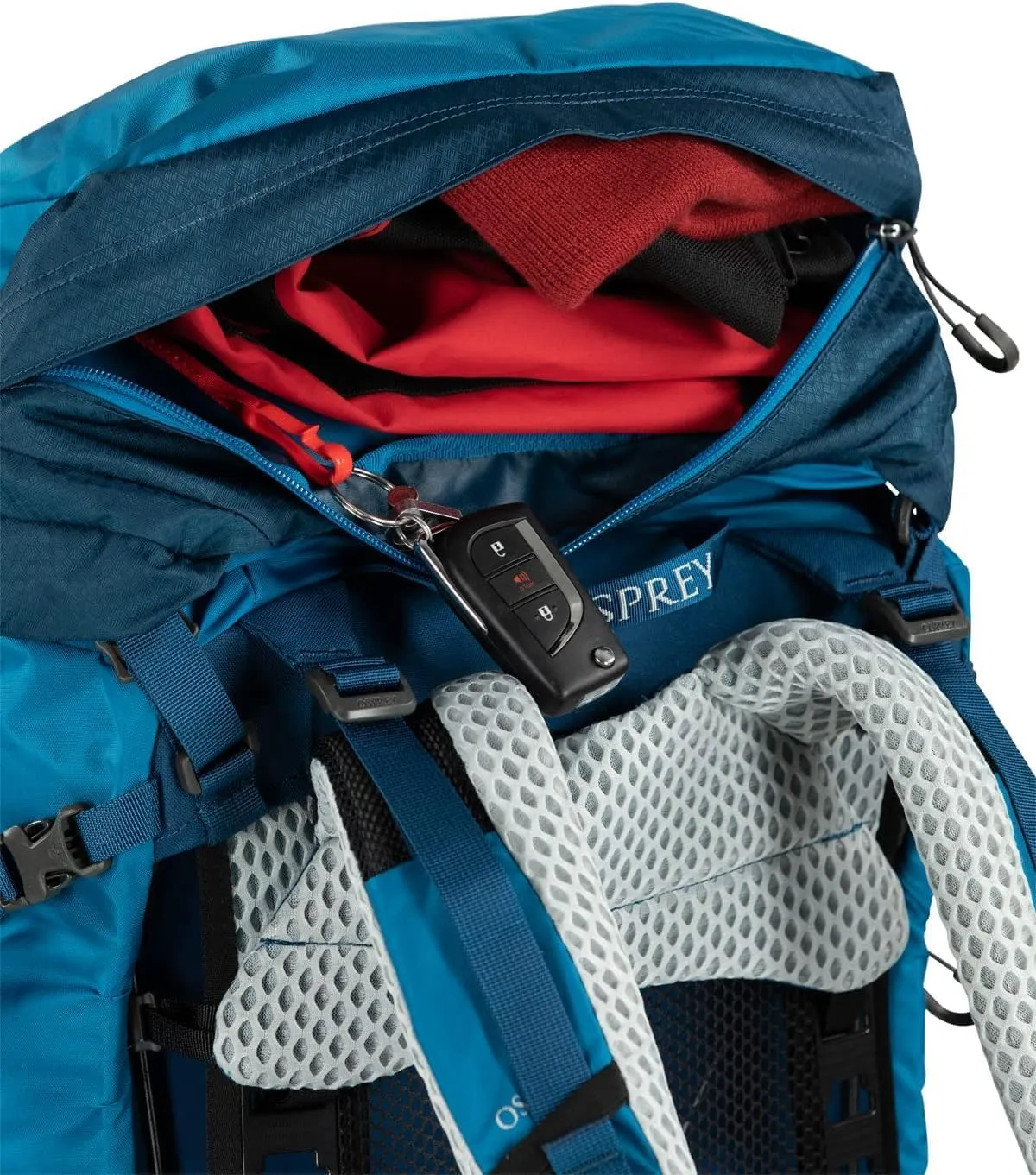 Osprey Atmos AG LT 65L Men's Backpacking Backpack, Scenic Valley/Green Peppercorn, L/XL