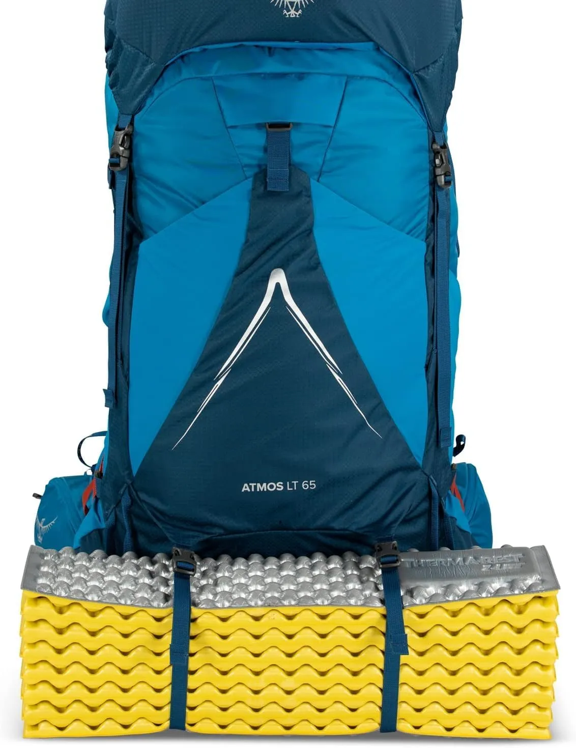 Osprey Atmos AG LT 65L Men's Backpacking Backpack, Scenic Valley/Green Peppercorn, L/XL