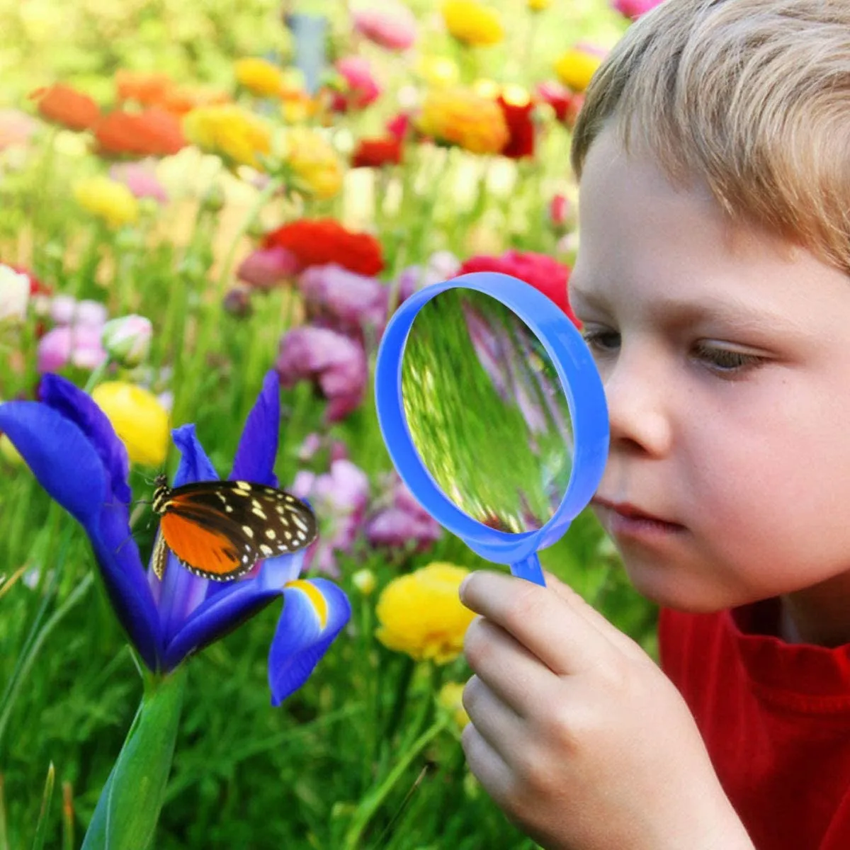 Outdoor Explorer & Bug Catcher Kit