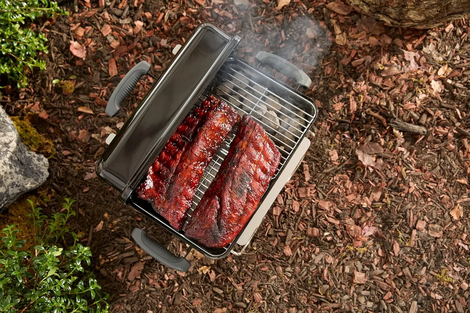 Weber Go-Anywhere Charcoal Grill