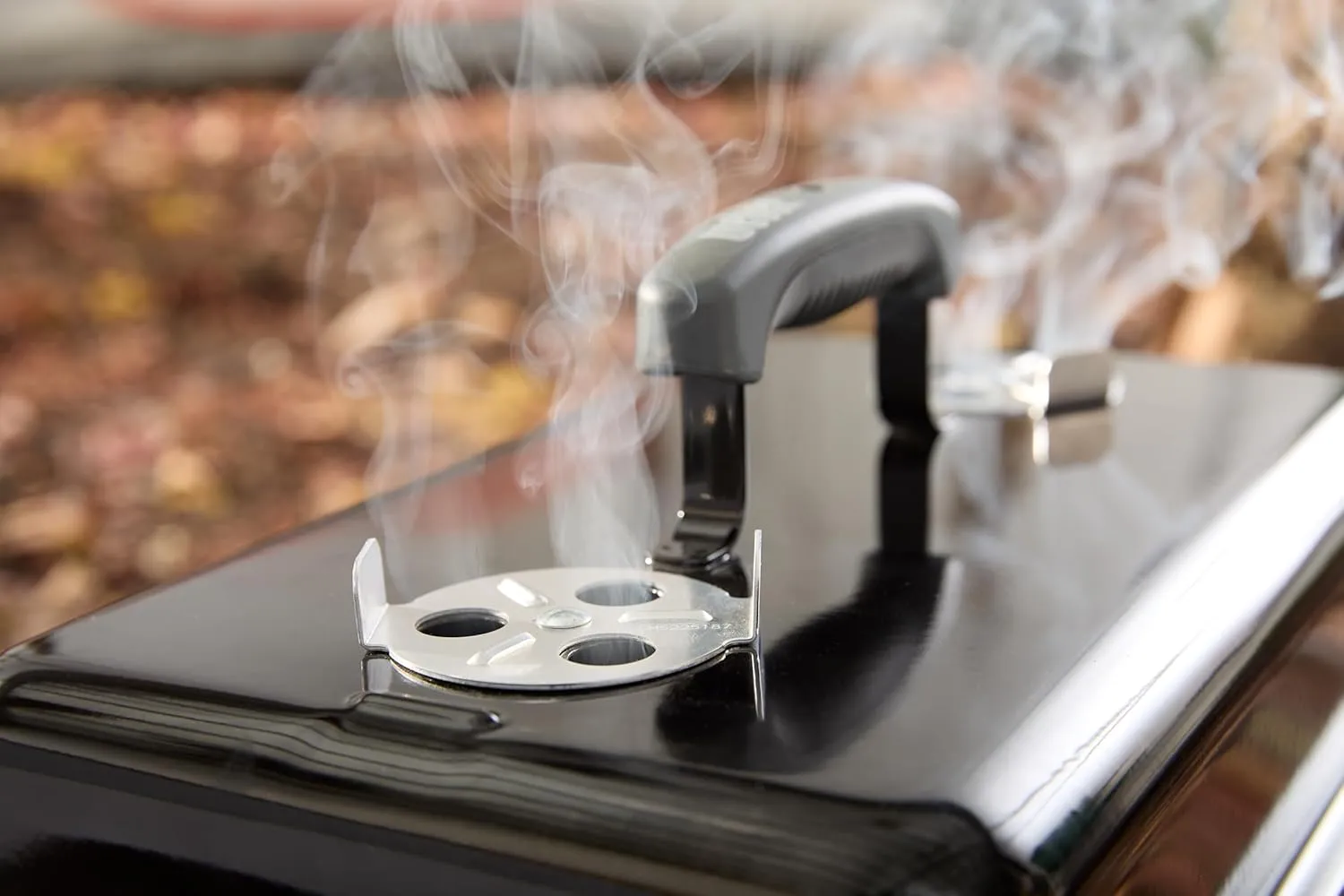 Weber Go-Anywhere Charcoal Grill